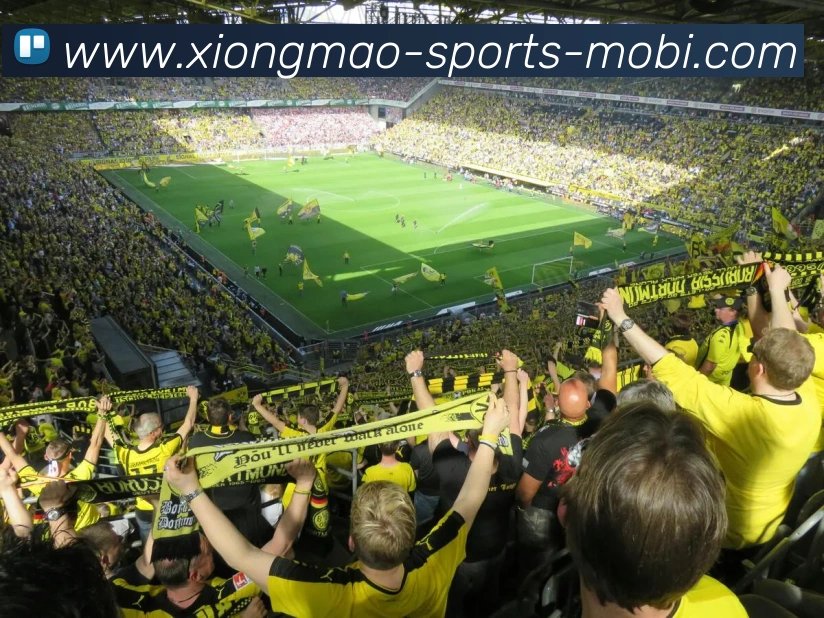 熊猫体育APP 高清赛事图