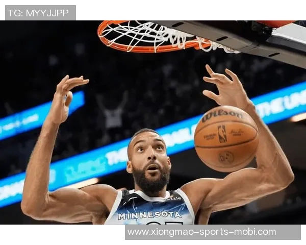 戈贝尔质疑球队态度：我们追求胜利还是只在乎收入的表态